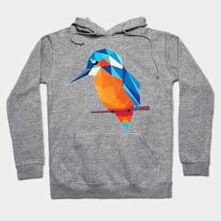 color bird Hoodie